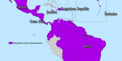 Map of jamaica zika